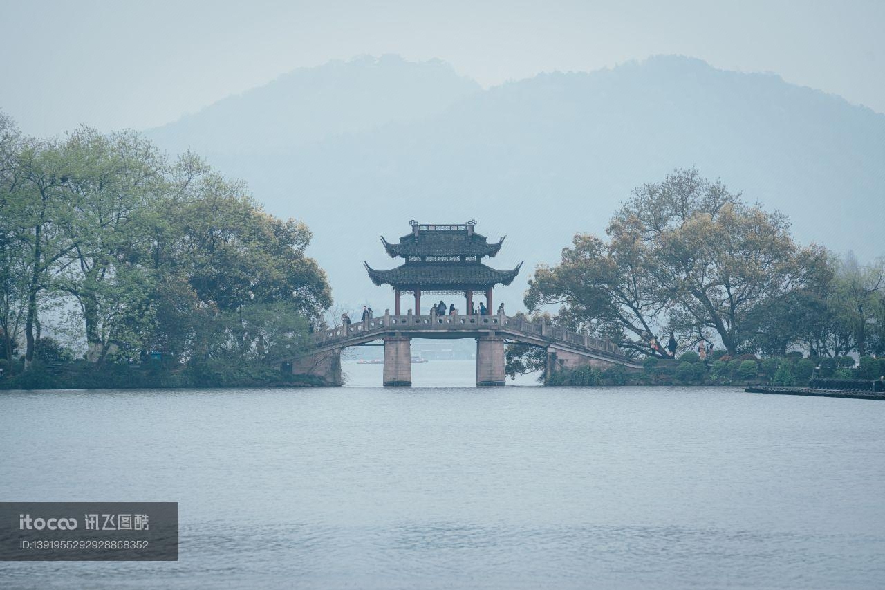 树,浙江杭州西湖春景,历史