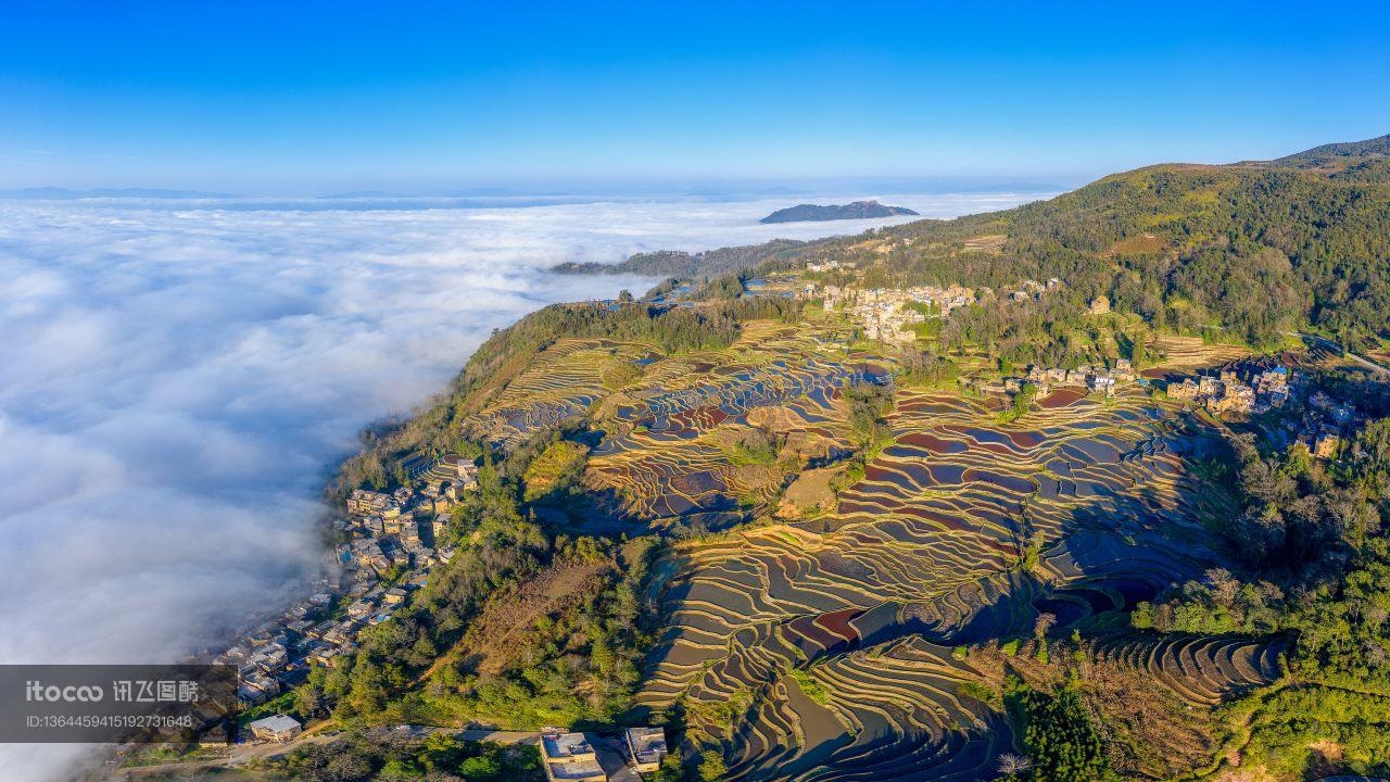 森林,山川,湖泊