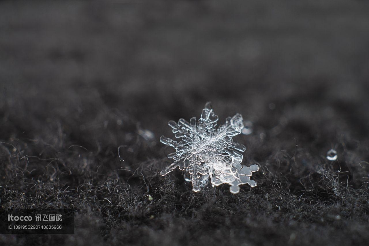 霜花,冰雪,自然风景