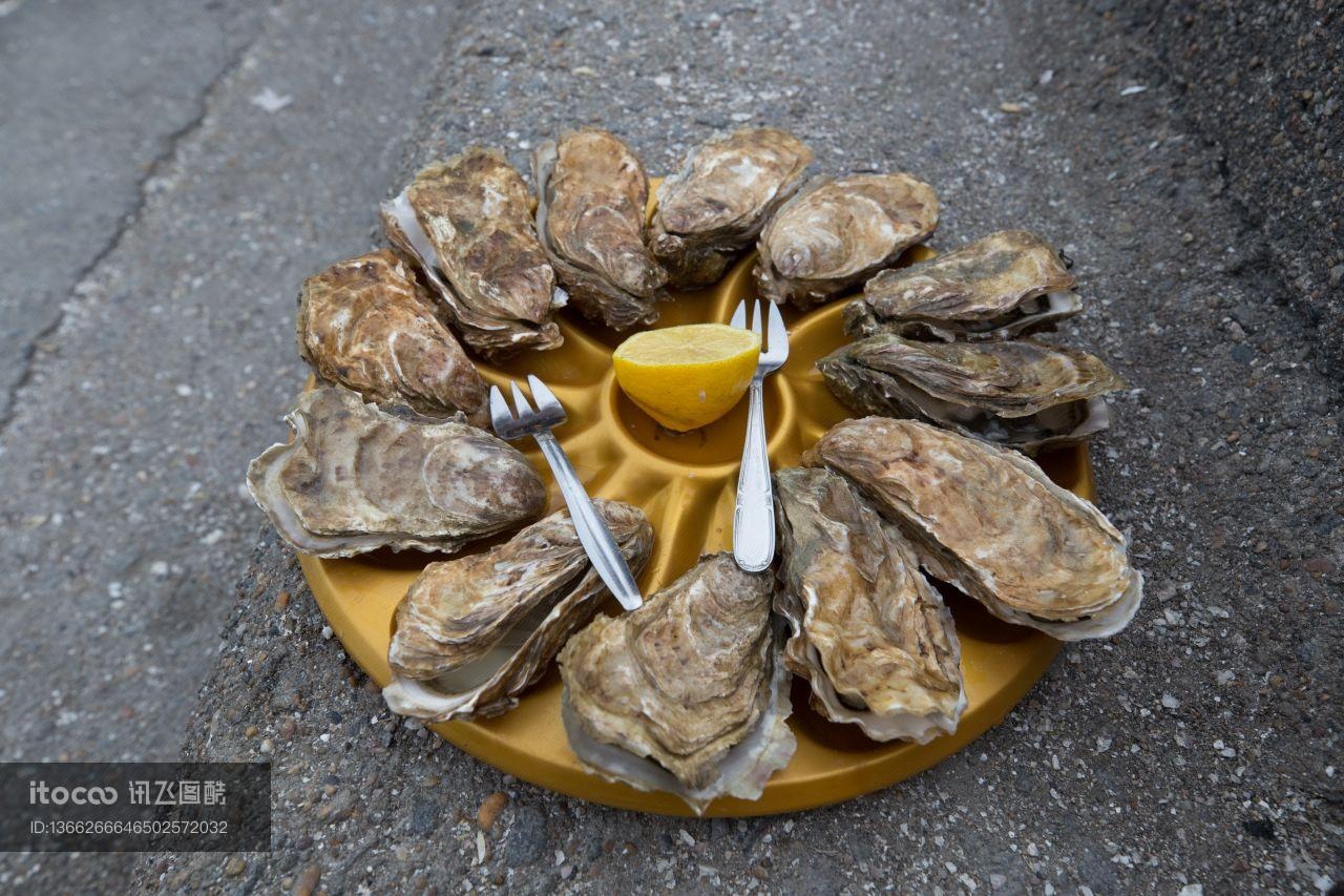 美食,生蚝,生物