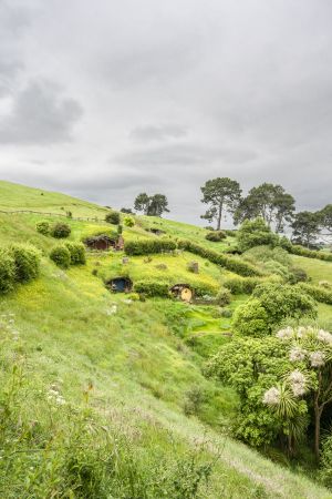 植物,草原,民居,城镇,自然风光,国外,青草,新西兰