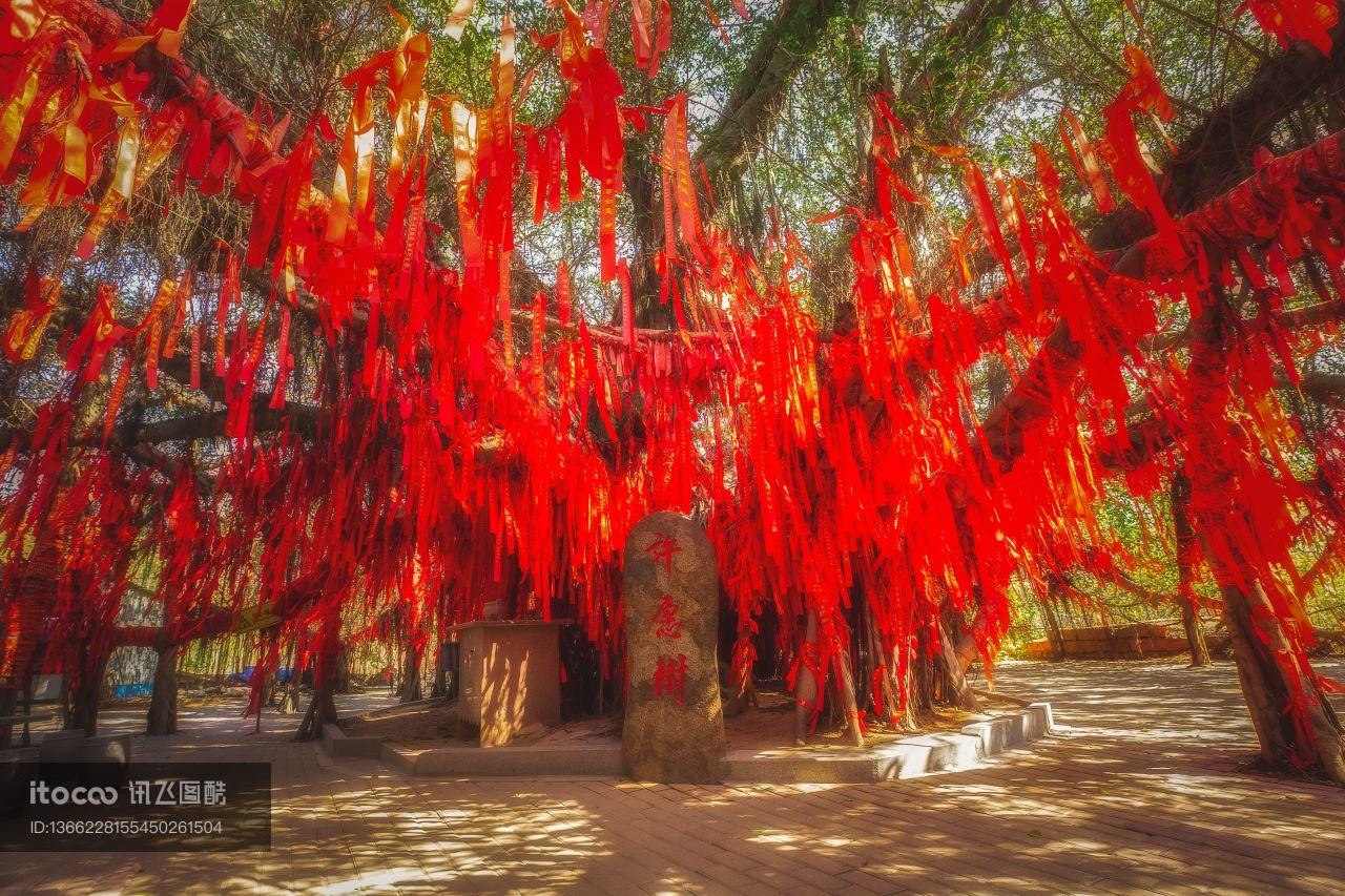 景点,祈愿树,红飘带