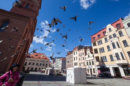 城镇,建筑,都市,国外,街道,波兰,托伦