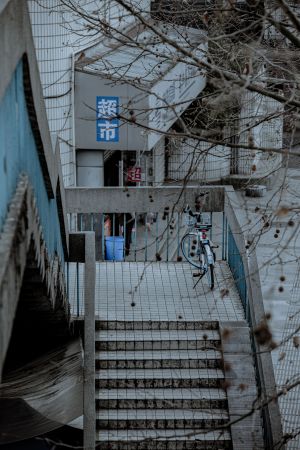 楼梯,枯树,杭州,生活工作,城镇,自行车,交通工具,超市