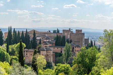 建筑,现代建筑,树,风景,植物,自然风光