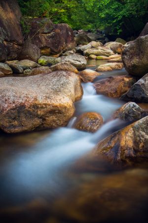自然风光,岩石,江河,瀑布,特写,植物,树木,青草