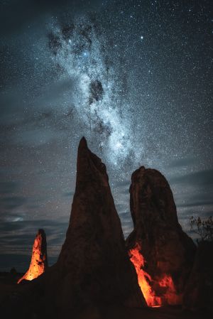 夜晚,自然风光,仰拍,天空,星星,星空,岩石,植物,树木