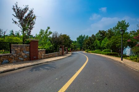 建筑,城镇,道路,天空,植物,树木,公路,白云,青草