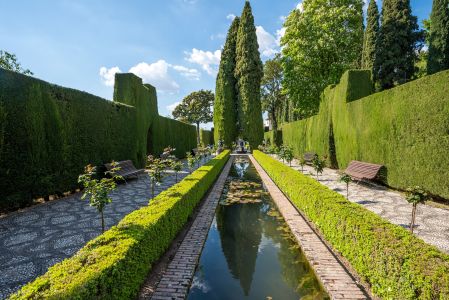 建筑,植物,现代建筑,城市街道,城镇,生物,全景,灌木,花