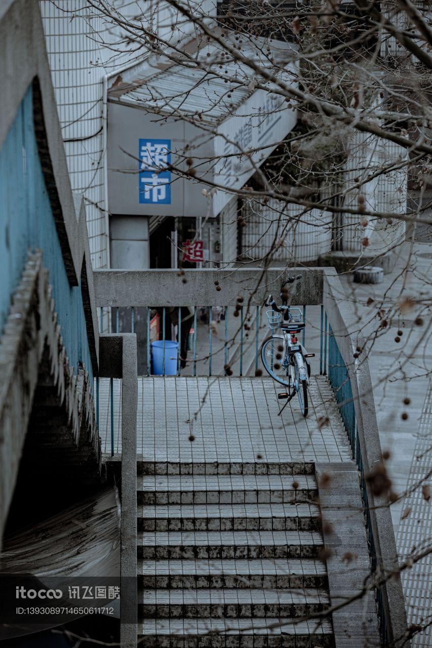 楼梯,枯树,杭州