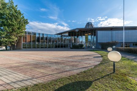 城镇,道路,乡村道路,自然风光,全景,植物,树木,树叶