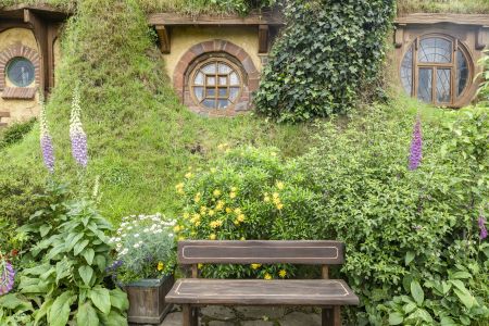 植物,草原,民居,城镇,自然风光,国外,青草,新西兰