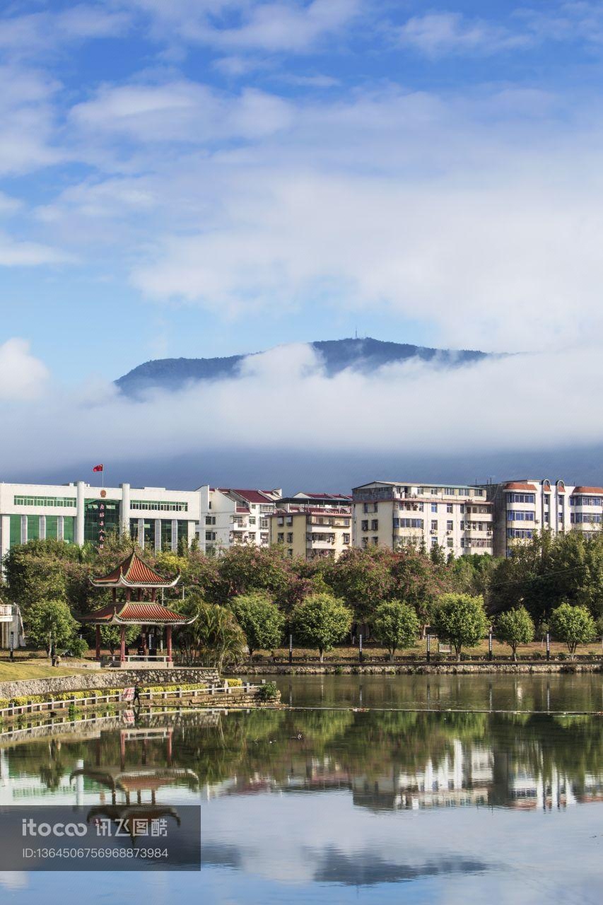 天空,建筑,植物