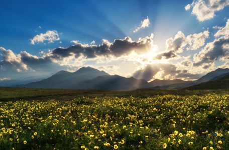 植物,自然风光,天空,花,日落,山峦,草原,花海