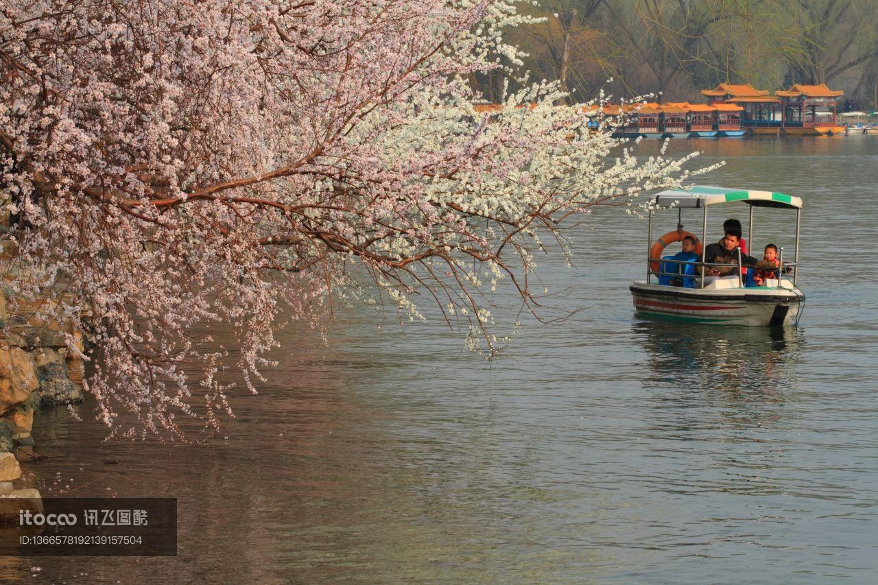 自然风光,花,颐和园