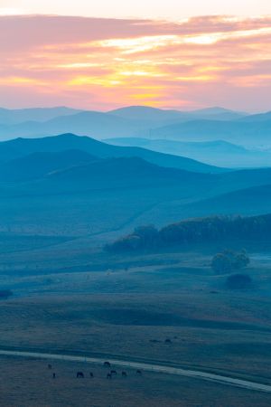 自然风光,俯瞰,航拍,晚霞,天空,草原,山川,青草,树木,森林,动物,植物