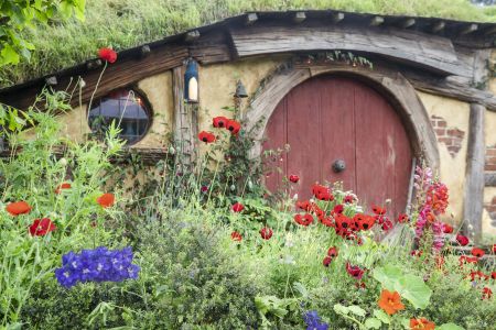 植物,草原,民居,城镇,自然风光,国外,青草,新西兰