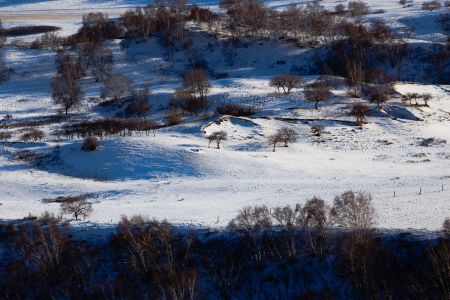 雪,树木,冰雪,自然风光,植物,山峦,航拍
