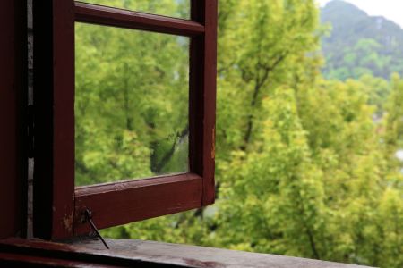 中国,宁波,窗,浙江,特写,植物,树木,生物,物品,家居用品