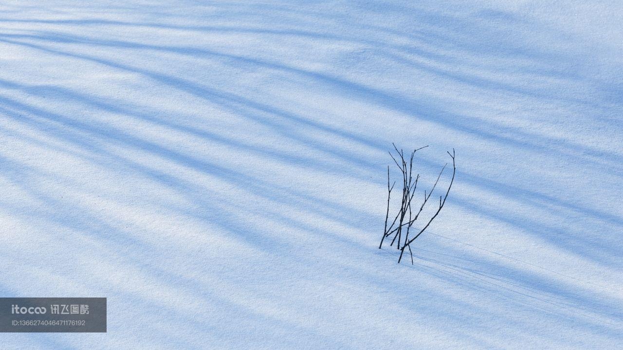 冰雪,雪原,自然风光