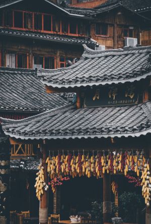 村镇,建筑,特写,历史古迹,城镇,美食,蔬菜