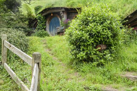 植物,草原,民居,城镇,自然风光,国外,青草,新西兰